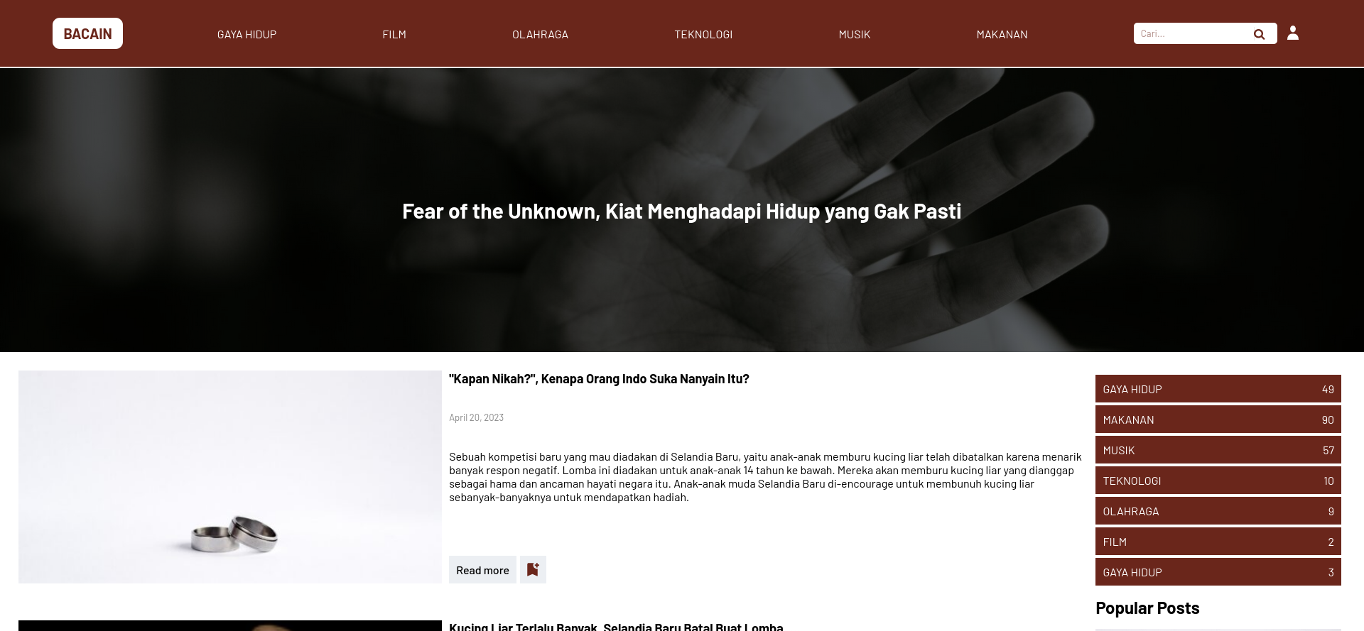 Tampilan web bacain
